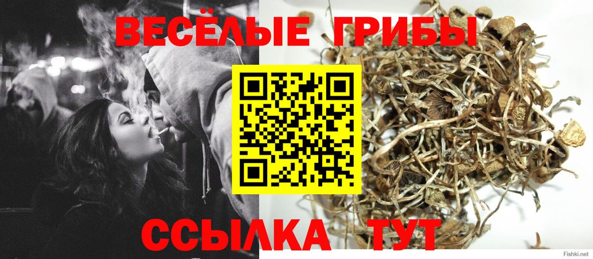 Красноярск  купить наркоту  Вход с VPN  Галлюциногенные грибы GOLDEN TEACHER 